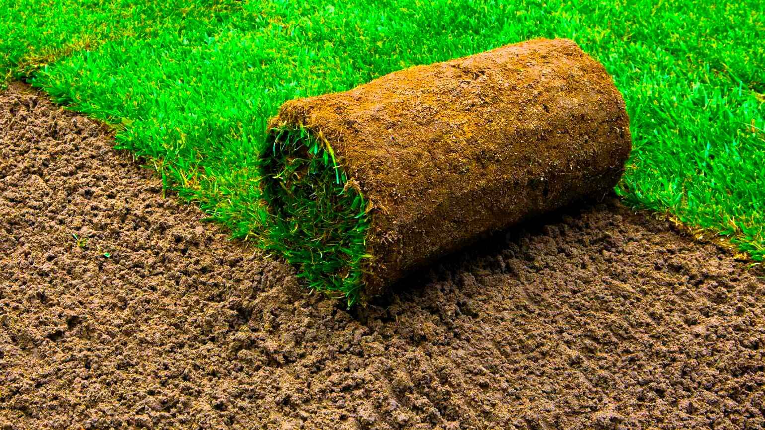 Lawn Sod Installation Services in Bell County, TX